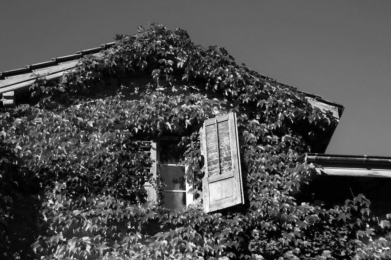 Aménagement de combles à Roquebrune-sur-Argens 83520 | Isolation sous toiture